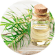 Tea Tree Oil