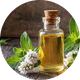 Peppermint Oil