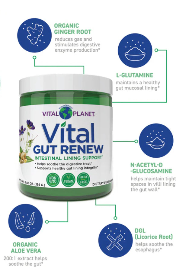 Load image into Gallery viewer, Vital Gut Renew - 6.88 oz (Vital Planet)
